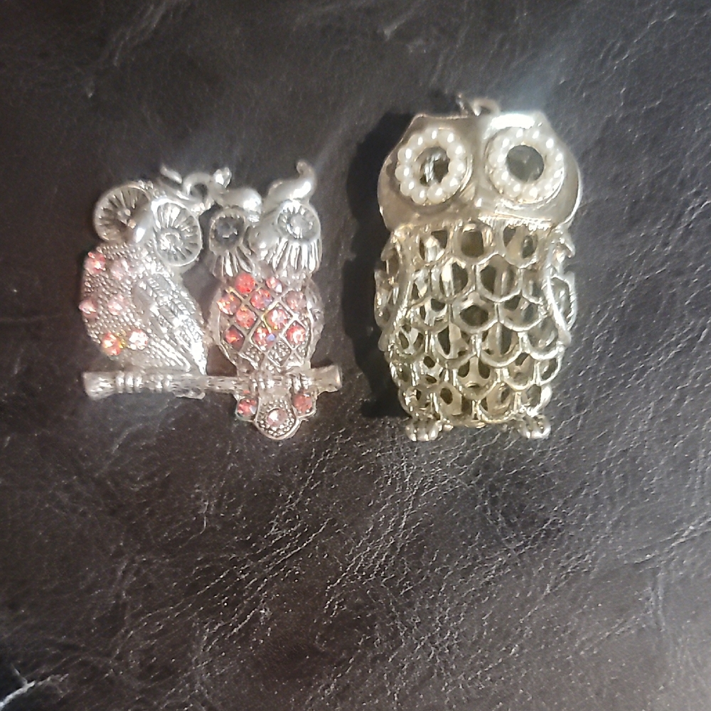 Silver Owl Brooch Set